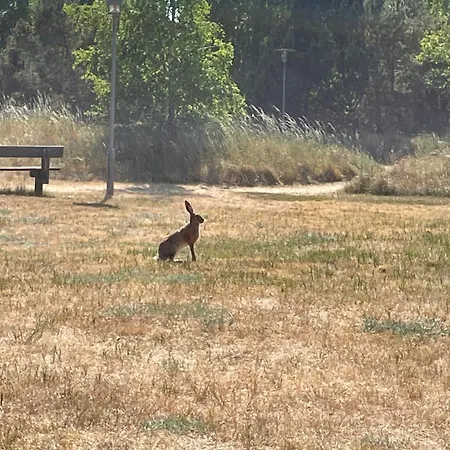Charmerende - 200 M Fra Stranden